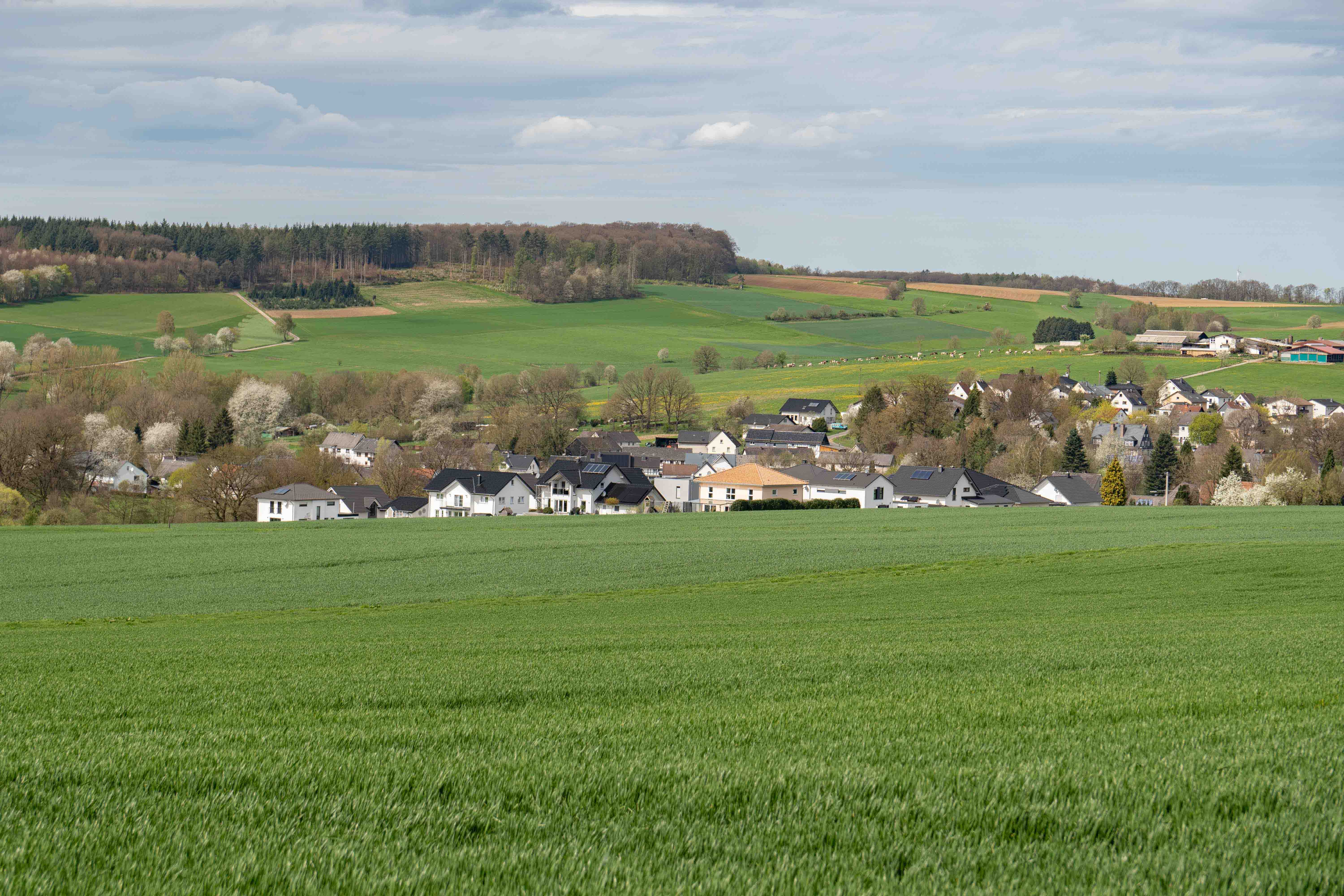 Hattert LR